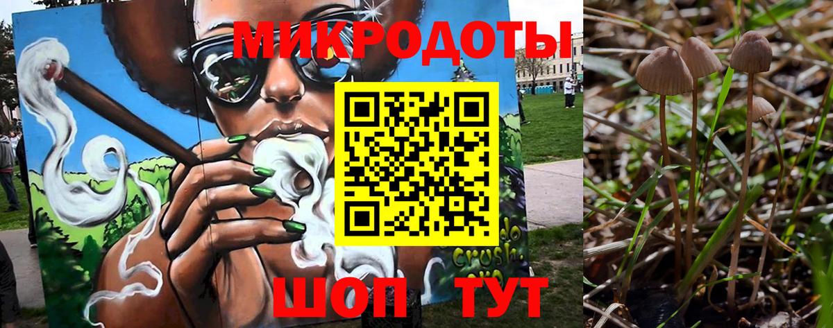 Псилоцибиновые грибы Psilocybine cubensis  Псилоцибиновые грибы мухоморы  Красноармейск  Вход с VPN 